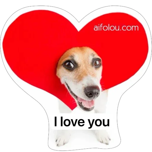 Aifolou WhatsApp Sticker